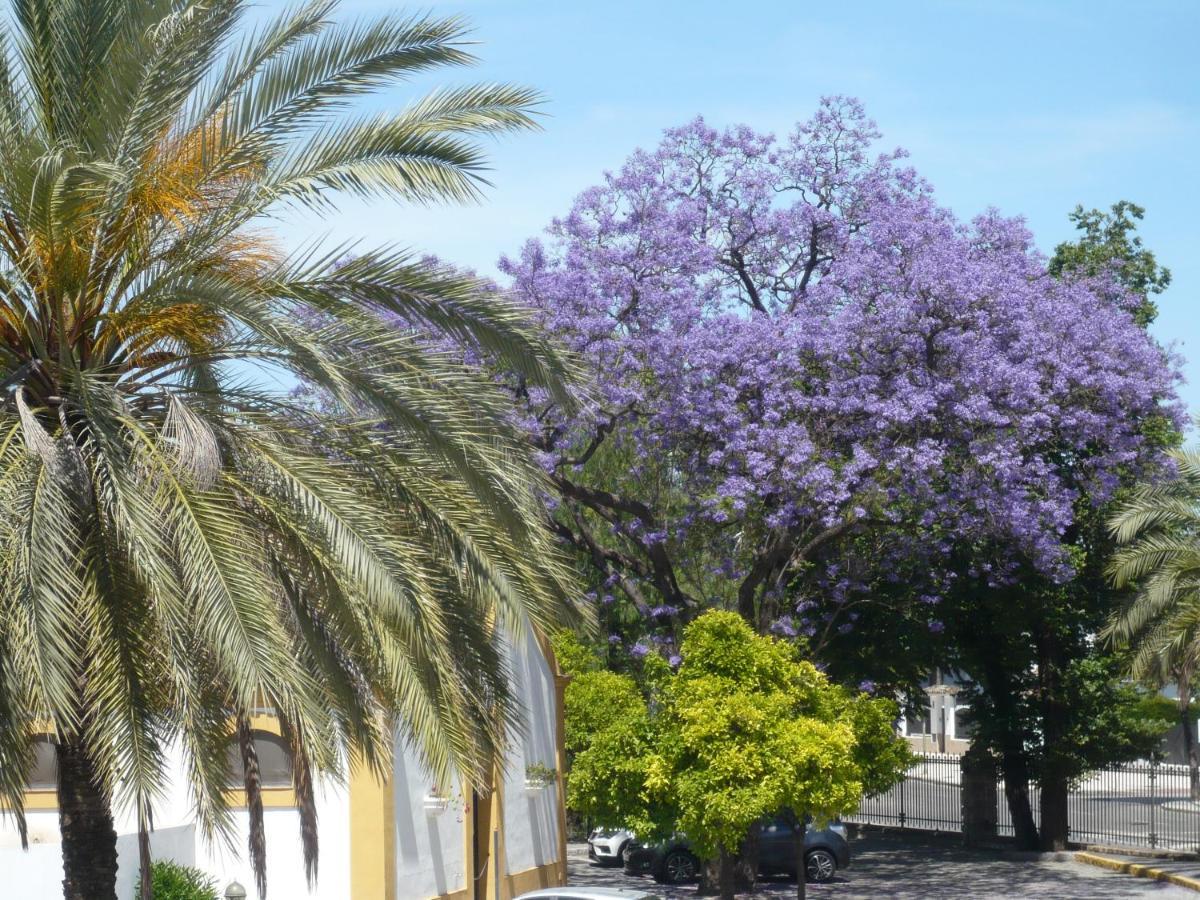 Real Escuela Home Χέρεζ Εξωτερικό φωτογραφία